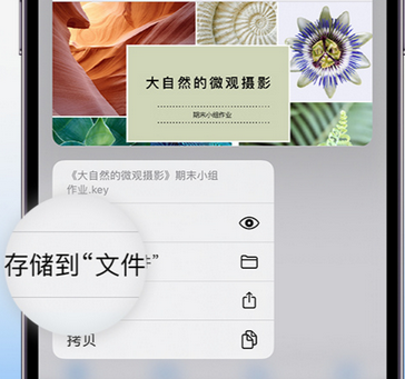 叶县apple维修中心分享iPhone文件应用中存储和找到下载文件