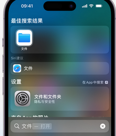 叶县apple维修中心分享iPhone文件应用中存储和找到下载文件