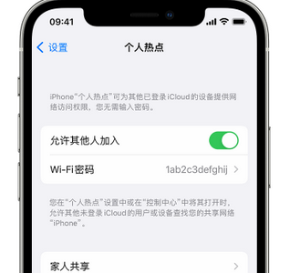 叶县apple服务站点分享iPhone上个人热点丢失了怎么办