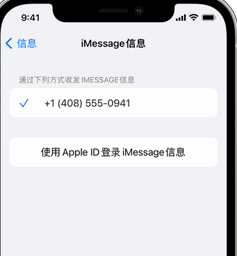 叶县apple维修iPhone上无法正常发送iMessage信息 