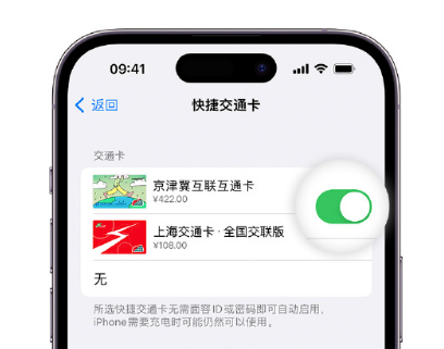 叶县apple维修点分享iPhone上更换Apple Pay快捷交通卡手绘卡面 