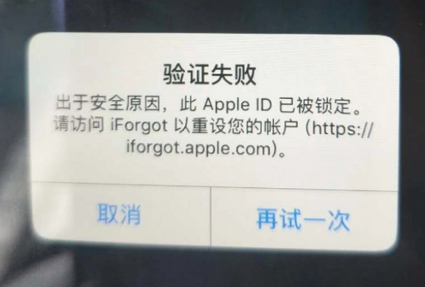 叶县iPhone维修分享iPhone上正常登录或使用AppleID怎么办 