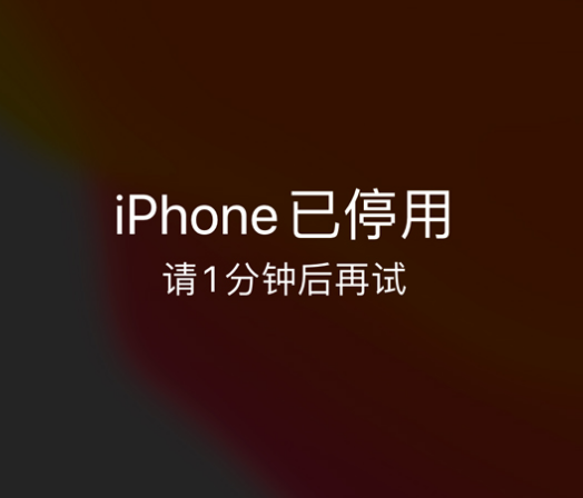 叶县苹果手机维修分享:iPhone 显示“不可用”或“已停用”怎么办？还能保留数据吗？ 