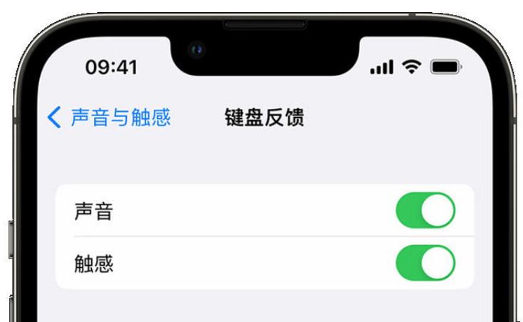 叶县苹果手机维修分享iPhone 14触感键盘使用方法 