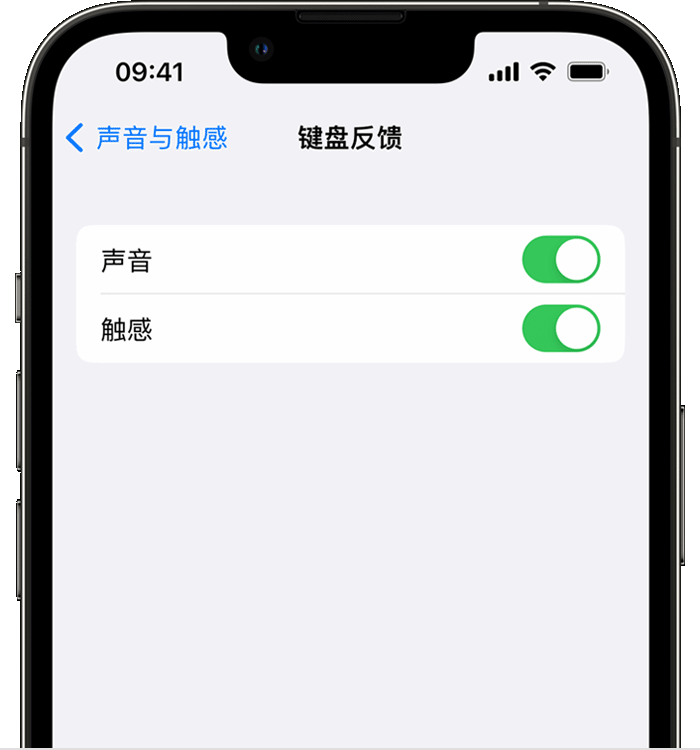 叶县苹果14维修店分享如何在 iPhone 14 机型中使用触感键盘 