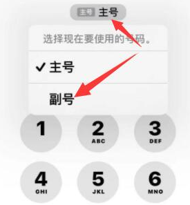 叶县苹果14维修店分享iPhone 14 Pro Max使用副卡打电话的方法 