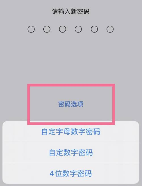 叶县苹果14维修分享iPhone 14plus设置密码的方法 