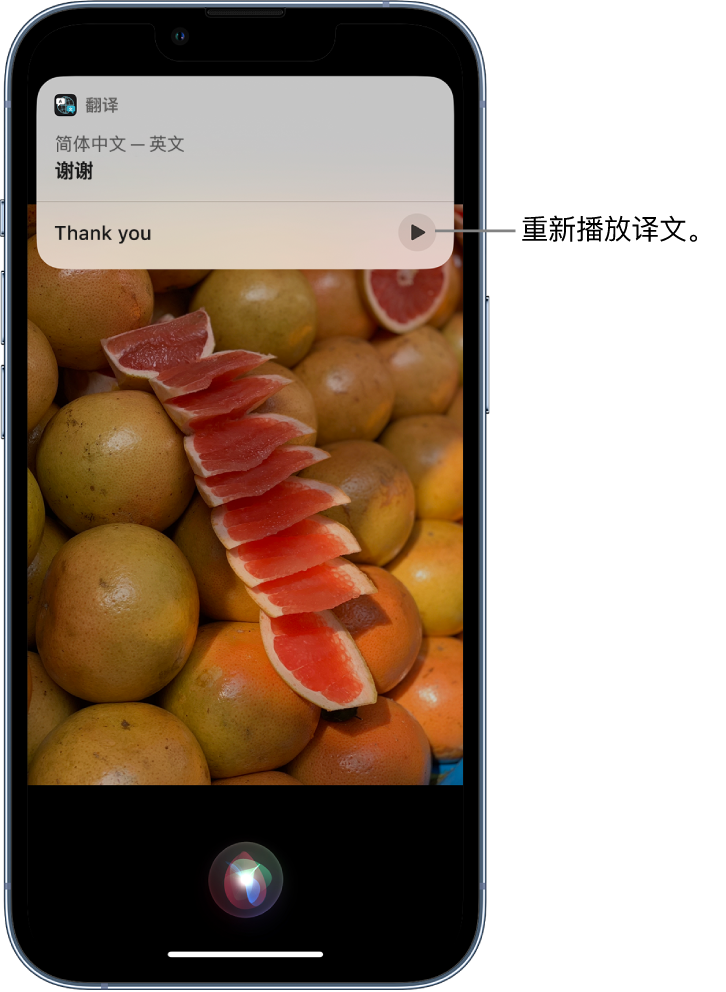 叶县苹果14维修分享 iPhone 14 机型中使用 Siri：了解 Siri 能帮你做什么 