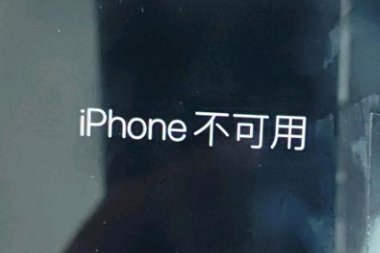 叶县苹果服务网点分享锁屏界面显示“iPhone 不可用”如何解决 