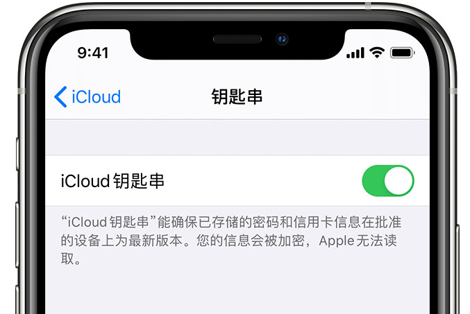 叶县苹果手机维修分享在 iPhone 上开启 iCloud 钥匙串之后会储存哪些信息 