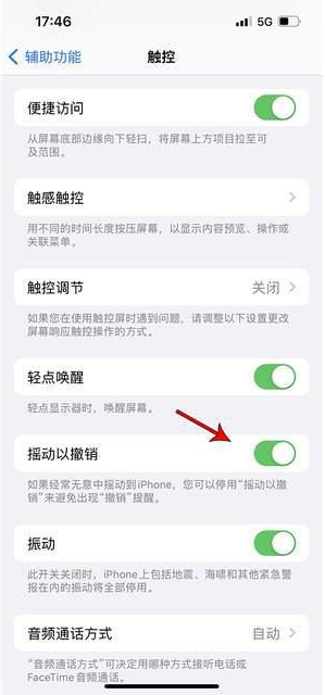 叶县苹果手机维修分享iPhone手机如何设置摇一摇删除文字 